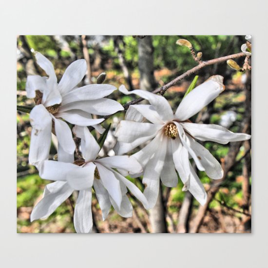 waving flowerheads Canvas Print