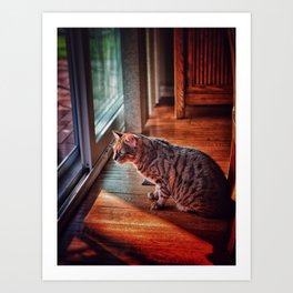 Cat in a House Art Print