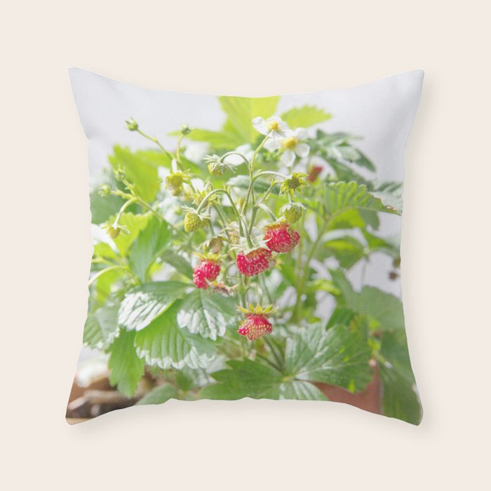 strawberry throw pillow