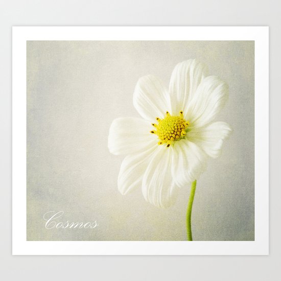 Cosmos Art Print