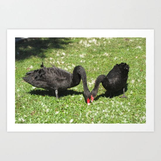 Swans LOVE Art Print