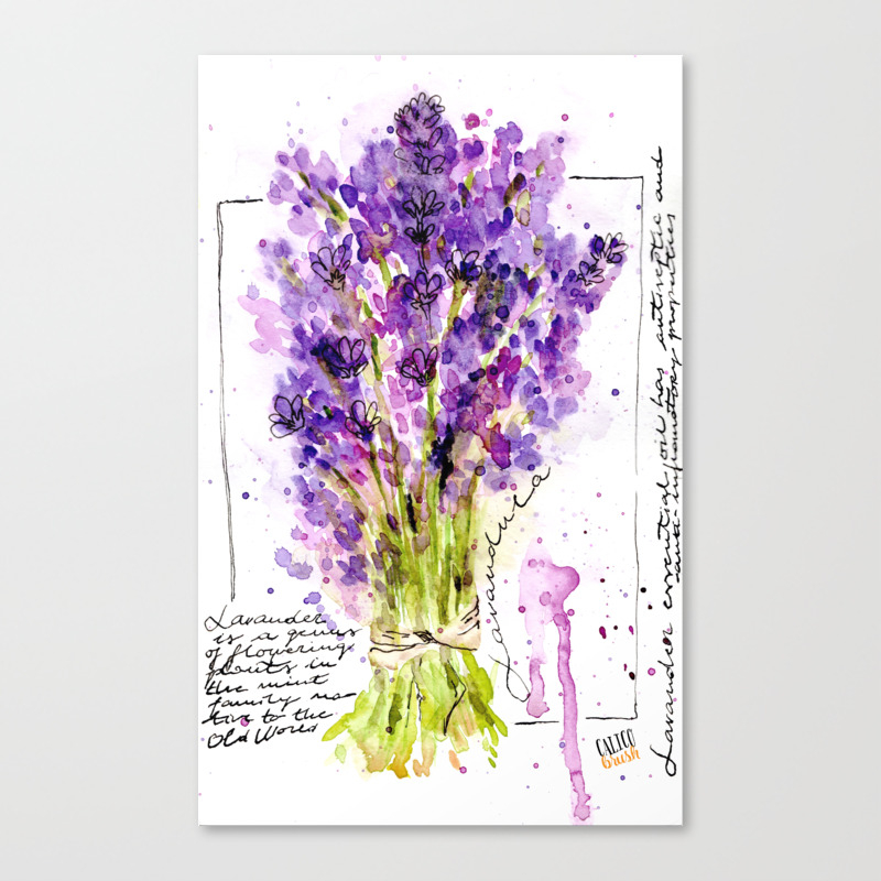 Watercolor Lavender Botanical Sketch Canvas Print By Lana N Society6