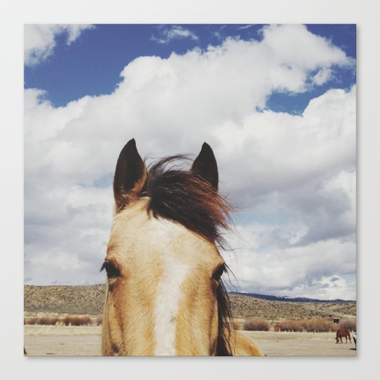 Cloudy Horse Head Canvas Print