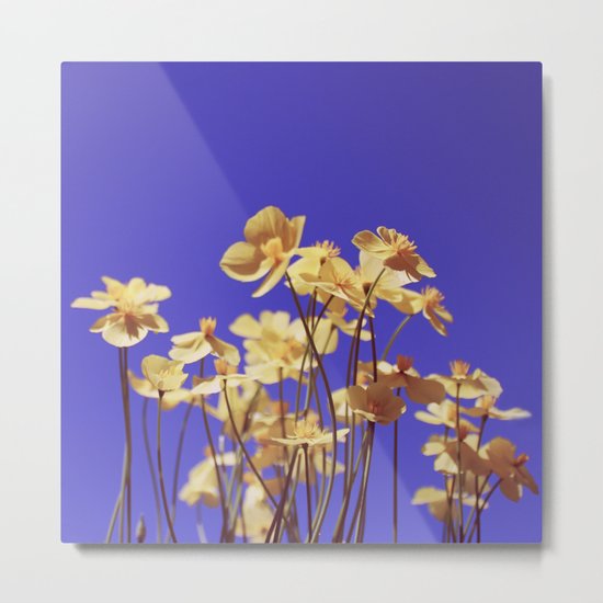 The month of May Metal Print