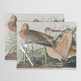Great Marbled Godwit from Birds of America (1827) by John James Audubon  Placemat