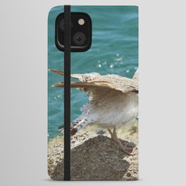 Seagull spreading wings by the Tyrrhenian sea | Amalfi coast, Italy iPhone Wallet Case
