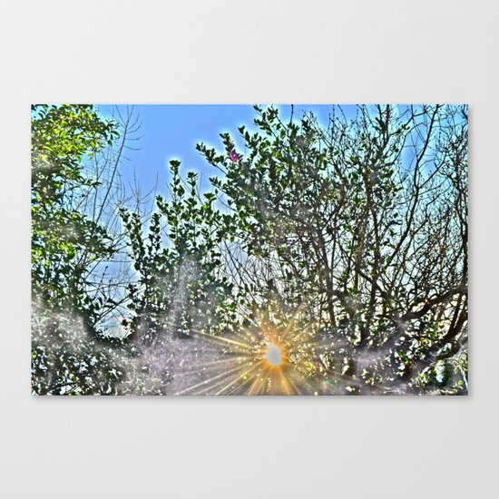 Pure Morning II Canvas Print