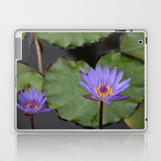 Purple Water Lilies Laptop & iPad Skin