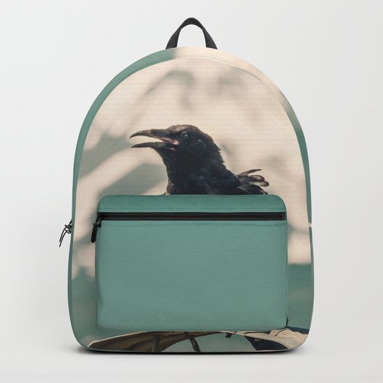 Mt. Jefferson Raven Backpack