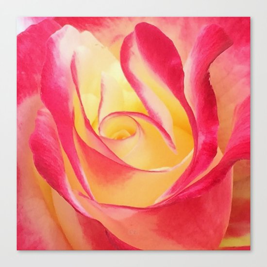 Summer Rose Untouched Canvas Print