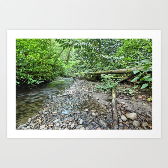 Winding Stream Art Print