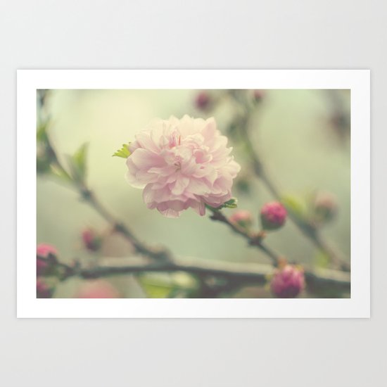 Fleurs Art Print