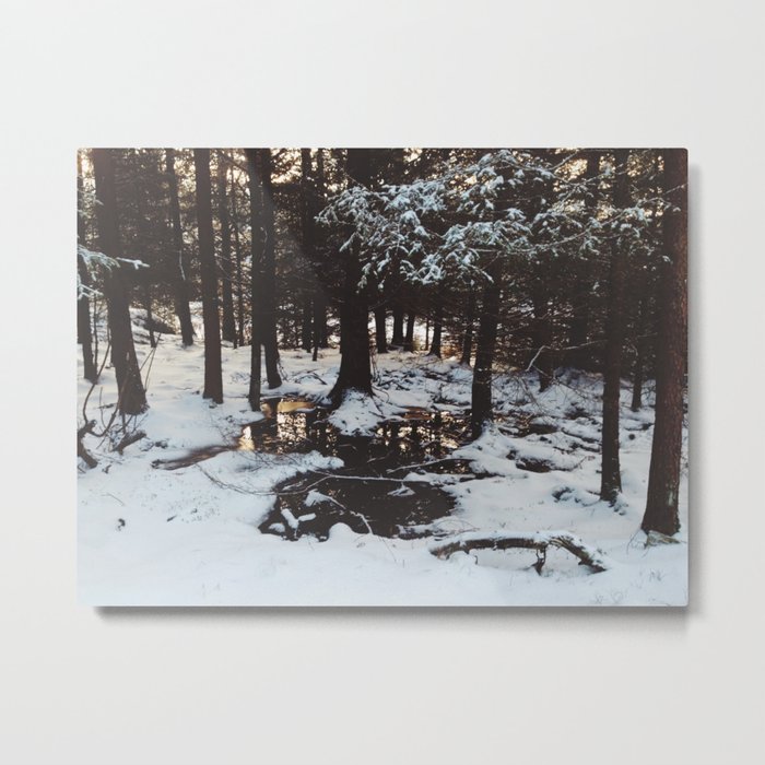 Winter woodlands  Metal Print