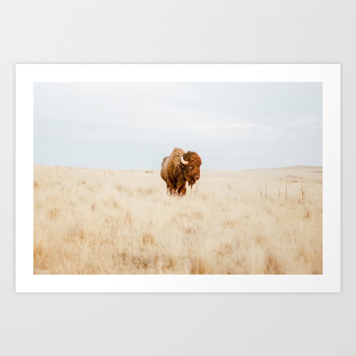 Art Print