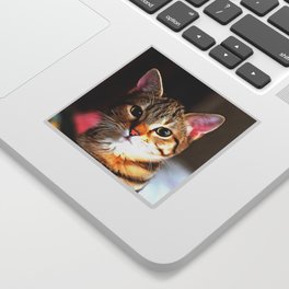 Artistic Tabby Cat Kitten Portrait Sticker