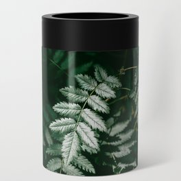 PNW Forest Ferns | Nature Photography Can Cooler