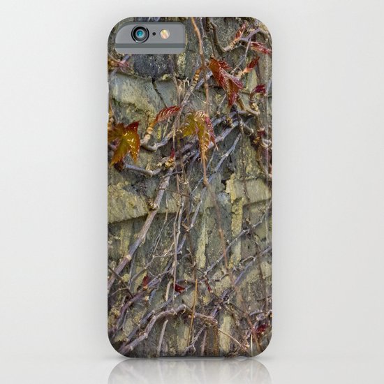 Wall climbers iPhone & iPod Case
