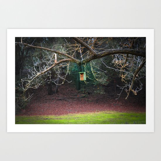Park Birdhouse Art Print