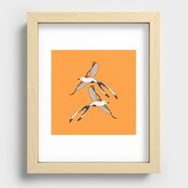 Scissor-tailed Flycatcher Recessed Framed Print