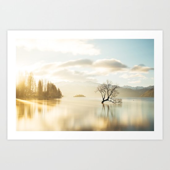 That Wanaka tree Art Print