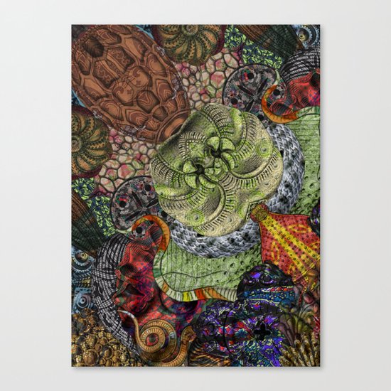Psychedelic Botanical 10 Canvas Print