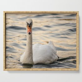 A swan staring at the camera Serving Tray