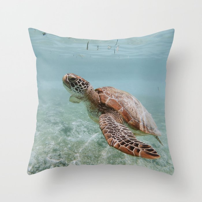 Throw Pillow