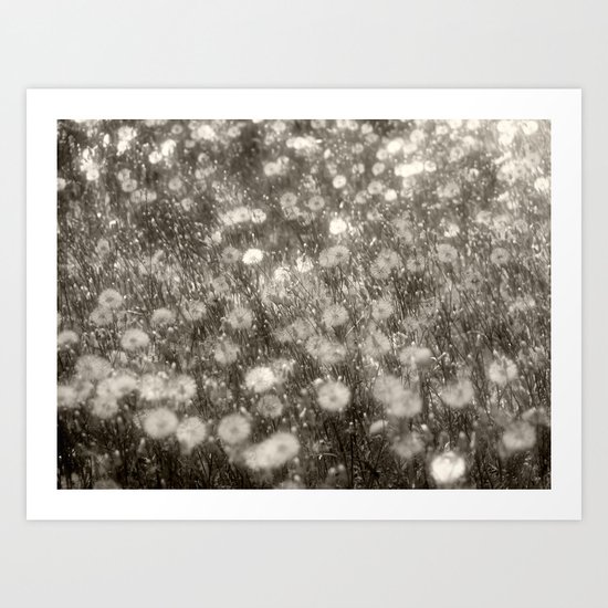 Stars In My Eyes Art Print