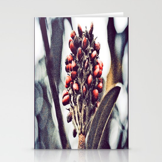 Magnolia Stationery Cards