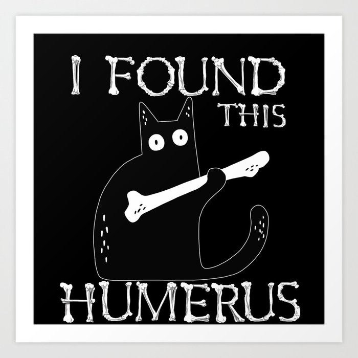 Cat i found this humerus online