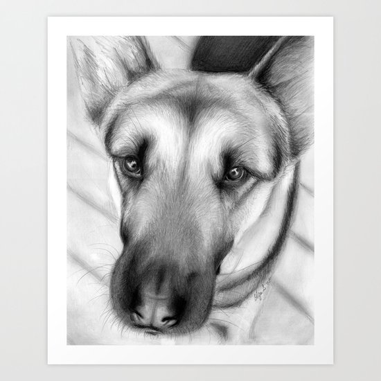 Dog Drawing German Shepherd Art Print