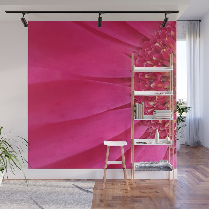 Pink Sunburst Wall Mural