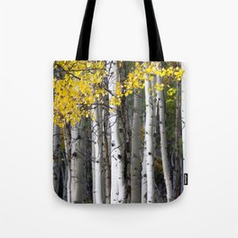 Yellow, Black, and White // Aspen Trees in Crested Butte Tote Bag