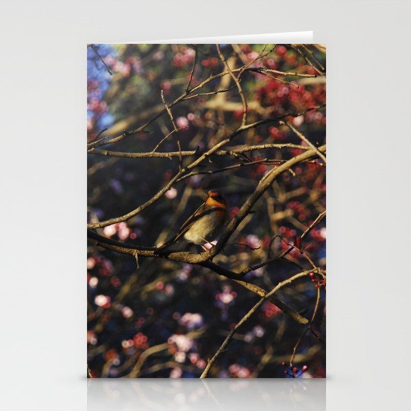 Robin in Cherry Tree Stationery Cards