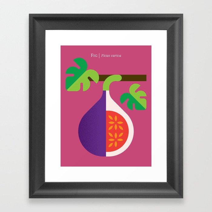 Fruit: Fig Framed Art Print