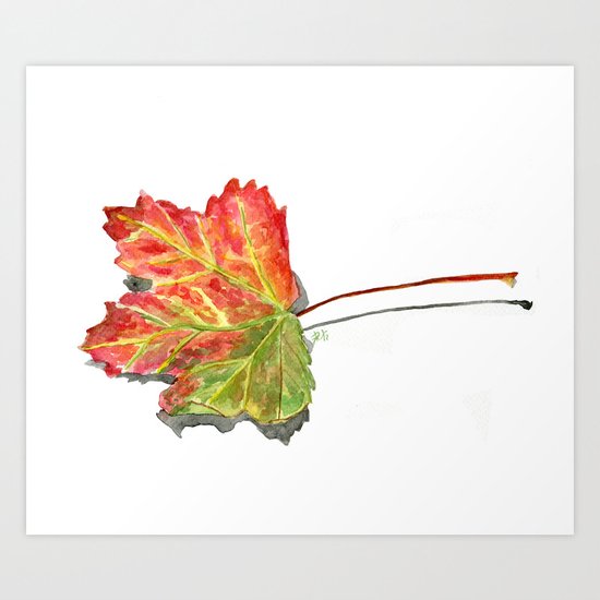 Autumn leaf of maple Art Print