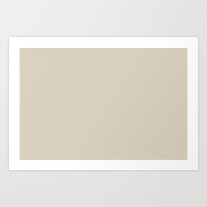 Creamy Off-white Solid Color Accent Shade / Hue Matches Sherwin