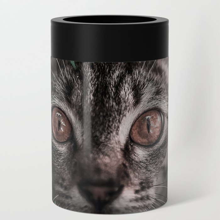 Hiding Kitty Cute Cat Bengal Can Cooler