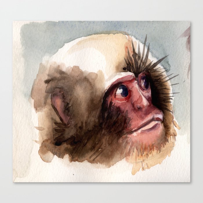 Macaco Canvas Print