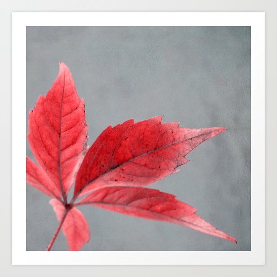 pink autumn Art Print