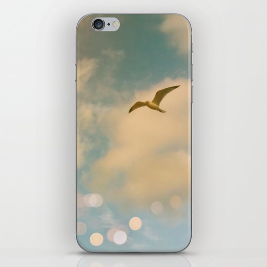The Lost Gull iPhone & iPod Skin