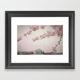 Washington DC Cherry Blossoms Framed Art Print