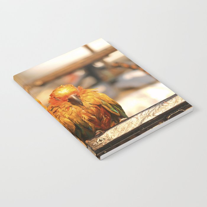couple parrot photography Notebook
