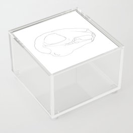 Bunny Skull Acrylic Box