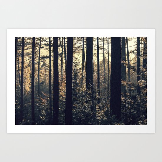 Light in the forest Art Print