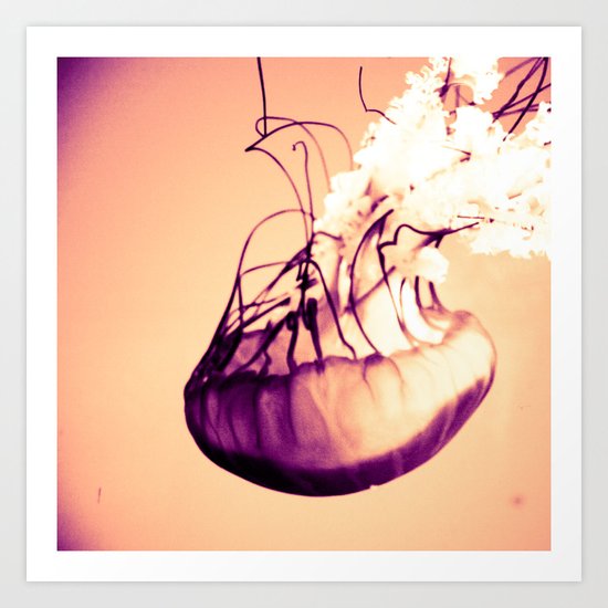 Jellyfish Art Print