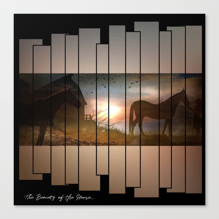 The Beauty of the Horse Canvas Print