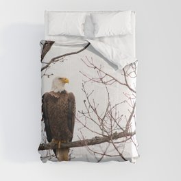 Bald Eagle Comforter