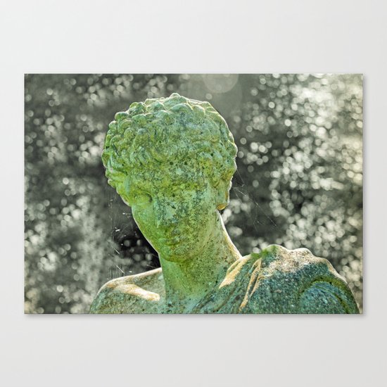 ALTERITY Canvas Print