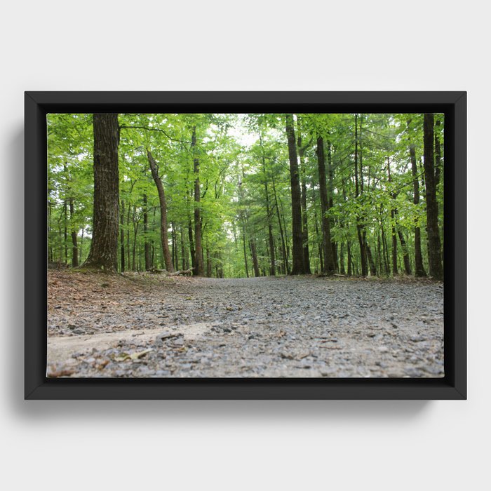 The Road Less Traveled Framed Canvas